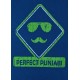 Perfect Punjabi T-Shirt ( Royal Blue )